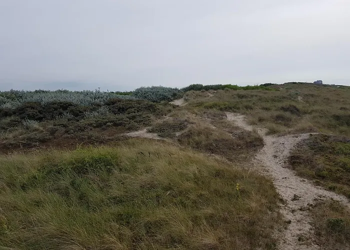 Seacottage Blankenberge - Wenduine