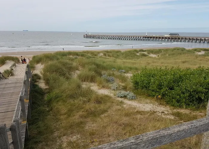 Seacottage Blankenberge - Wenduine Alpesi faház De Haan
